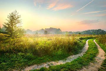 Image showing Road and spring field