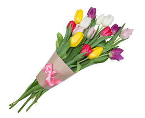 Image showing Tulips flowers isolated on white background