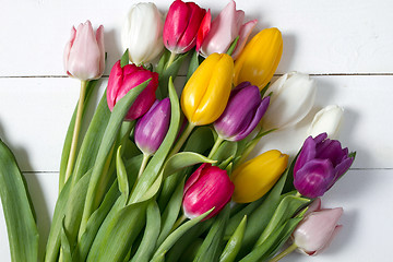 Image showing Tulips flowers background