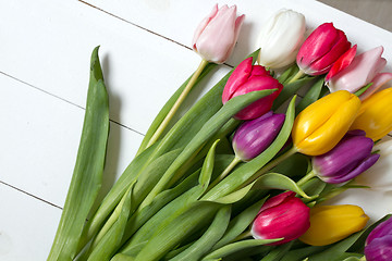 Image showing Tulips flowers background