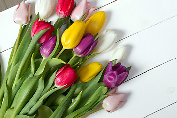 Image showing Tulips flowers background