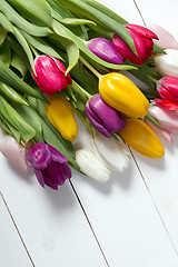 Image showing Tulips flowers background