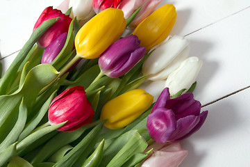 Image showing Tulips flowers background