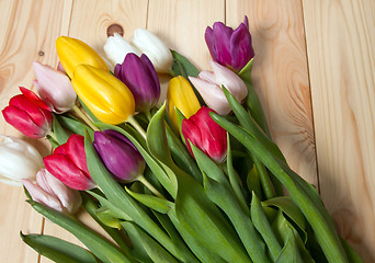 Image showing Tulips flowers background