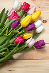 Image showing Tulips flowers background