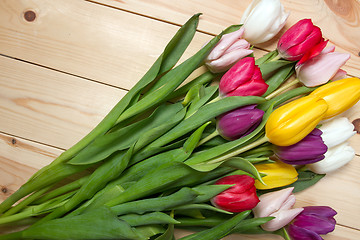 Image showing Tulips flowers background