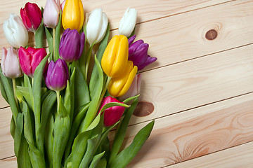 Image showing Tulips flowers background