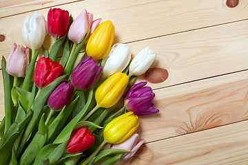 Image showing Tulips flowers background