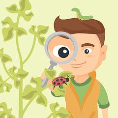 Image showing Boy looking through a magnifying glass at ladybug.