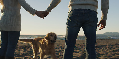 Image showing couple with dog having fun on beach on autmun day