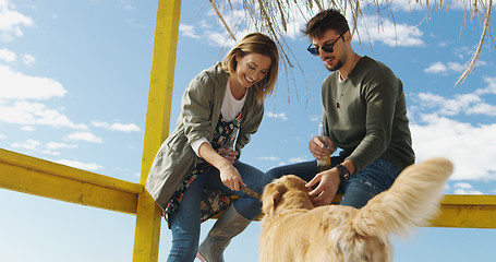 Image showing Group of friends having fun on autumn day at beach