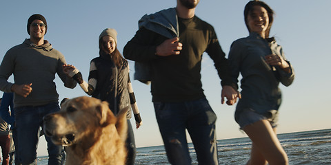 Image showing Group of friends having fun on beach during autumn day