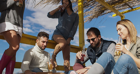 Image showing Group of friends having fun on autumn day at beach