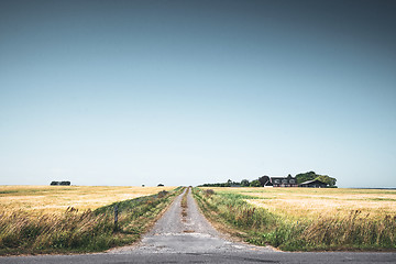 Image showing Rural scenery with a road passing a small farm