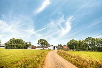 Image showing Road going up to a farm in a rural landscape