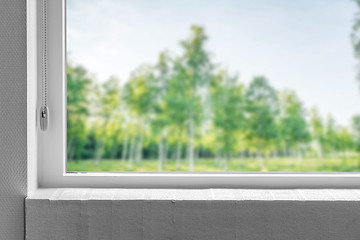 Image showing Windowsill with a view to a green garden