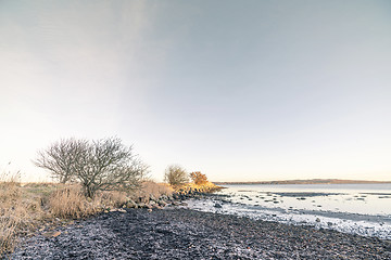 Image showing Coastline in the morning sunrise with frost