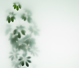 Image showing abstract blurred leaves