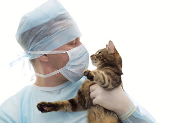 Image showing Veterinarian in a sterile clothes cap and mask with a kitten