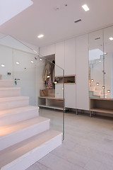 Image showing Stylish Interior of apartment entrance corridor