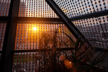 Image showing sunset through a glass roof