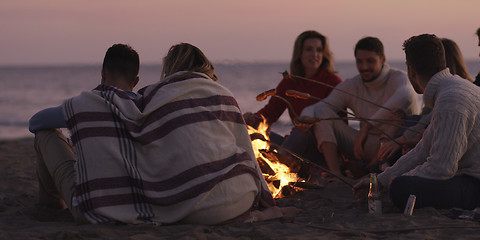 Image showing Group Of Young Friends Sitting By The Fire at beach