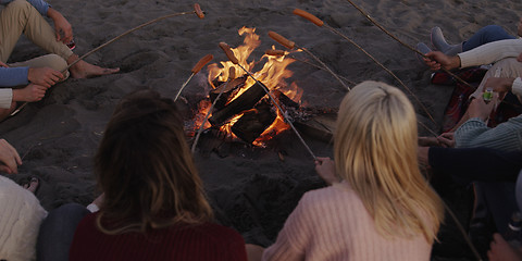 Image showing Group Of Young Friends Sitting By The Fire at beach