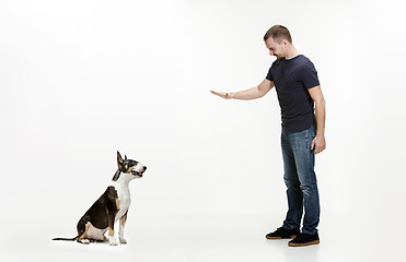 Image showing Emotional Portrait of a man and his Bull Terrier dog, concept of friendship and care of man and animal