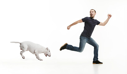 Image showing Emotional Portrait of a man and his Bull Terrier dog, concept of friendship and care of man and animal