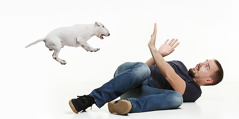 Image showing Emotional Portrait of a man and his Bull Terrier dog, concept of friendship and care of man and animal