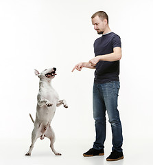 Image showing Emotional Portrait of a man and his shepherd dog, concept of friendship and care of man and animal