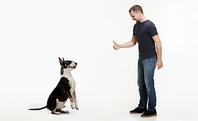 Image showing Emotional Portrait of a man and his Bull Terrier dog, concept of friendship and care of man and animal