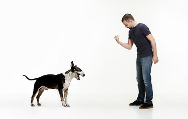 Image showing Emotional Portrait of a man and his Bull Terrier dog, concept of friendship and care of man and animal