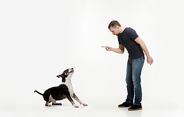 Image showing Emotional Portrait of a man and his Bull Terrier dog, concept of friendship and care of man and animal