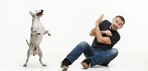 Image showing Emotional Portrait of a man and his Bull Terrier dog, concept of friendship and care of man and animal