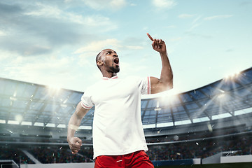 Image showing The football player in motion on the field of stadium