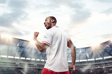 Image showing The football player in motion on the field of stadium