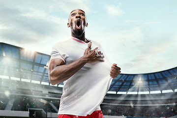 Image showing The football player in motion on the field of stadium