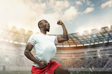 Image showing The football player in motion on the field of stadium