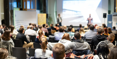 Image showing Business speaker giving a talk at business conference event.