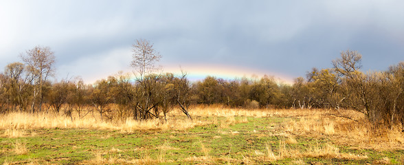 Image showing Rainbow