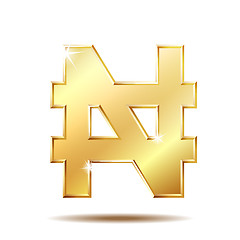 Image showing Shiny golden Nigerian Naira currency sign