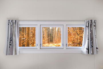 Image showing Autumn view in a window on a wall