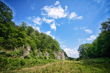 Image showing Valley with green fields under a blue sky