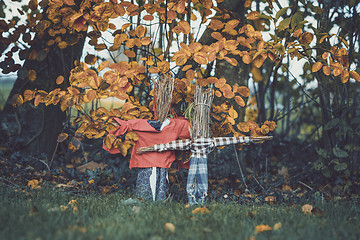 Image showing Scarecrows in a garden in the fall