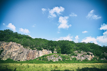 Image showing Green forest on a hillside with cliffs