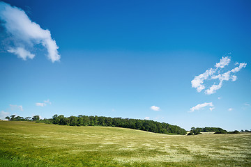 Image showing Rural landscape with fields under a blue sky