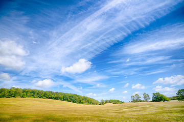 Image showing Colorful landscape in a rural environment