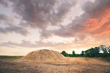 Image showing Mulch pile in the summer sunset