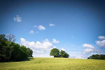 Image showing Rural fields in a countryside landscape